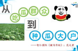 教育在线吃瓜网,揭秘教育行业热点事件背后的真相