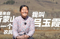 闪电深1度｜在“沂蒙二姐”的诗歌中读懂和美乡村新农景-赞美雪的诗词