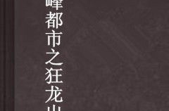 都市之巅峰狂龙,龙战都市，一统风云